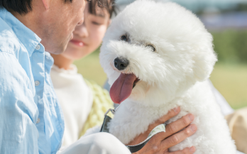 お迎え後も続く、食と健康のパートナーシップ
